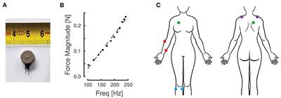 Vibrotactile Perception for Sensorimotor Augmentation: Perceptual Discrimination of Vibrotactile Stimuli Induced by Low-Cost Eccentric Rotating Mass Motors at Different Body Locations in Young, Middle-Aged, and Older Adults